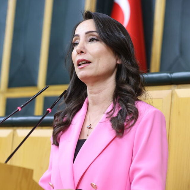 "Yeni sürecin çözüm adresi Meclis'tir"