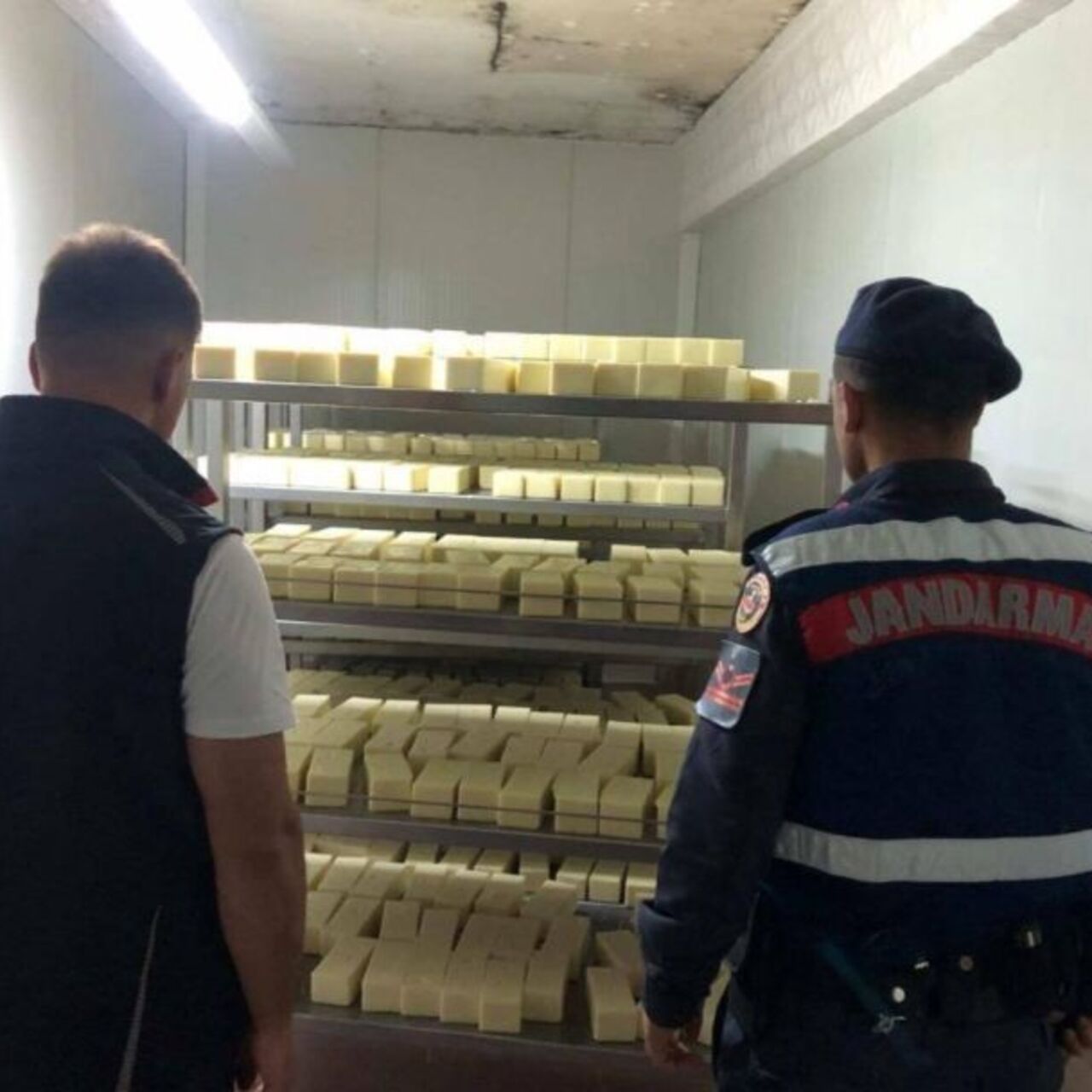 5 ton 'sahte' kaşar peyniri ele geçirildi