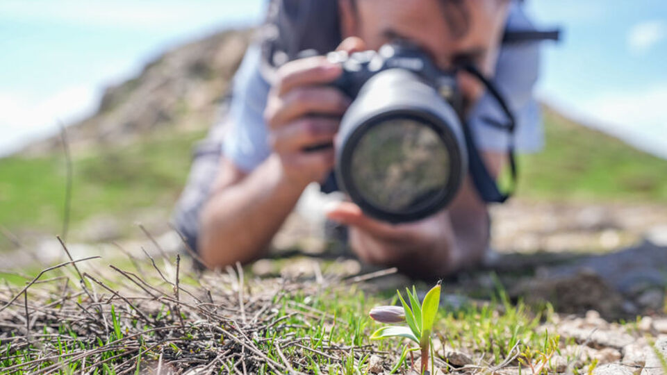 Sarp arazide keşfetti! Türkiye'nin 56'ncı türü