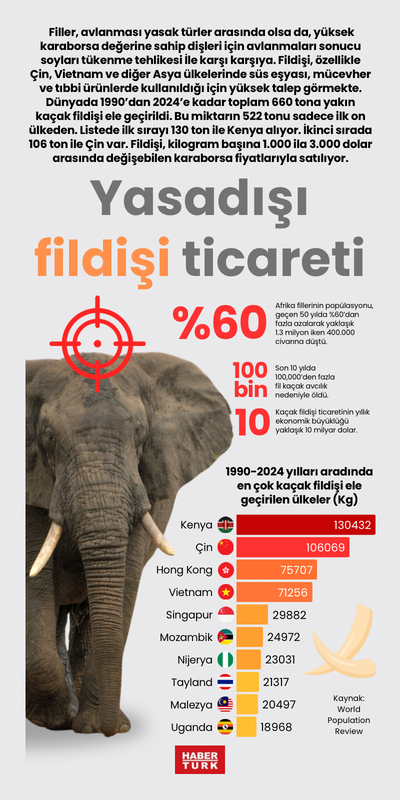 Yasadışı fildişi ticareti
