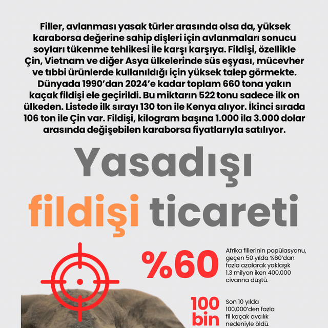 Yasadışı fildişi ticareti
