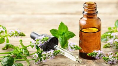 Hamam otunun doğru kullanımı