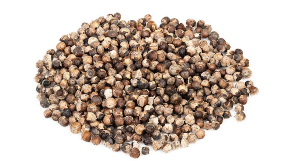 Hayıt tohumunun doğru kullanımı