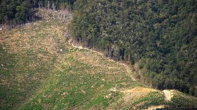 Bakan Kurum'dan 2B açıklaması