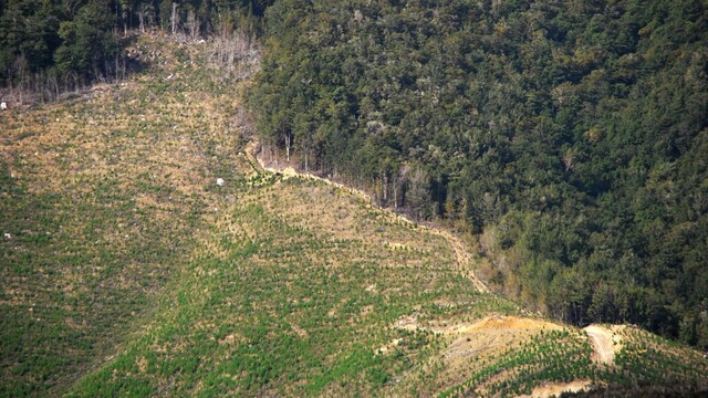 Bakan Kurum'dan 2B açıklaması