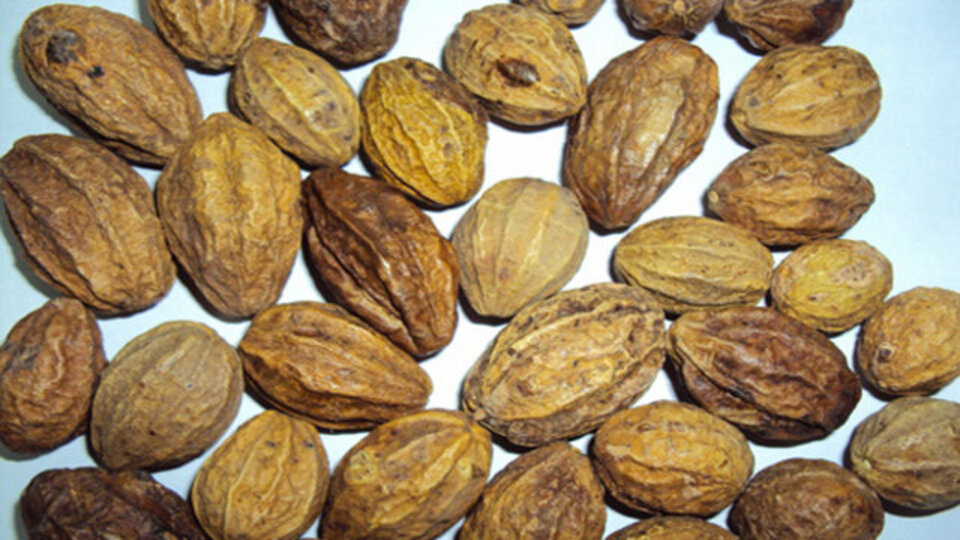 Kara halilenin doğru kullanımı