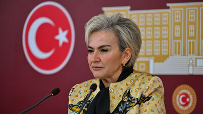 CHP, hayvan hakları için harekete geçti