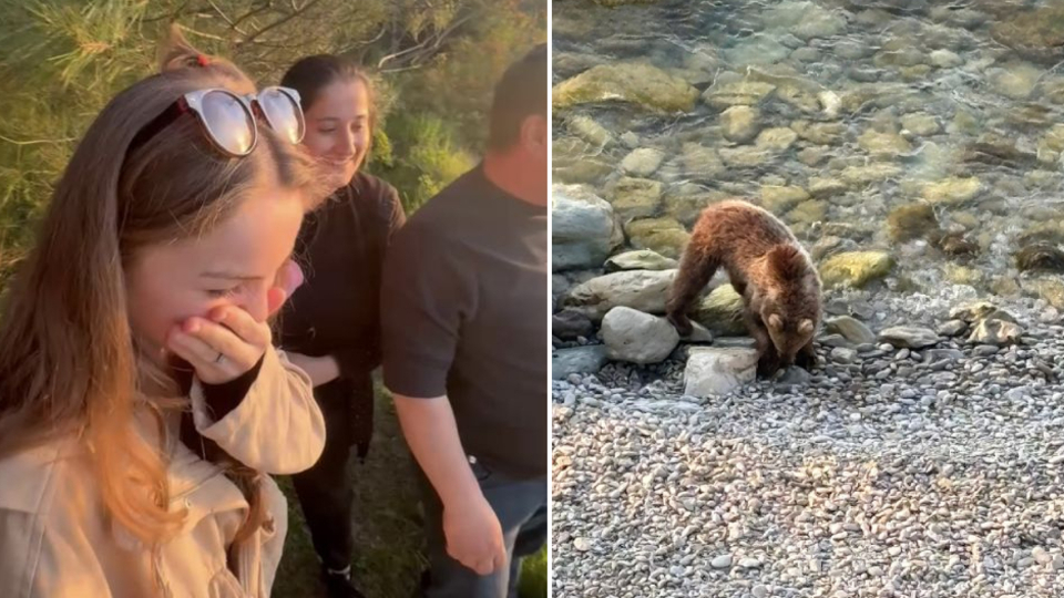 Yavru bozayı sahile indi, vatandaşlar izlemeye gitti