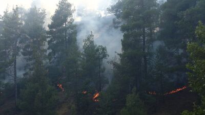 Kahramanmaraş'ta orman yangını!