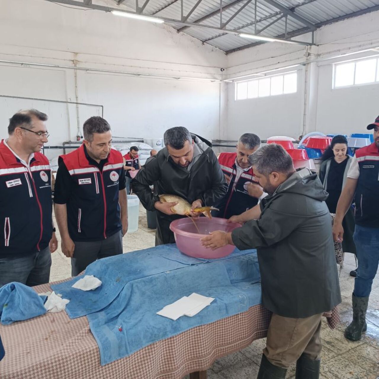Edirne'deki hedef 10.5 milyon balık yavrusu