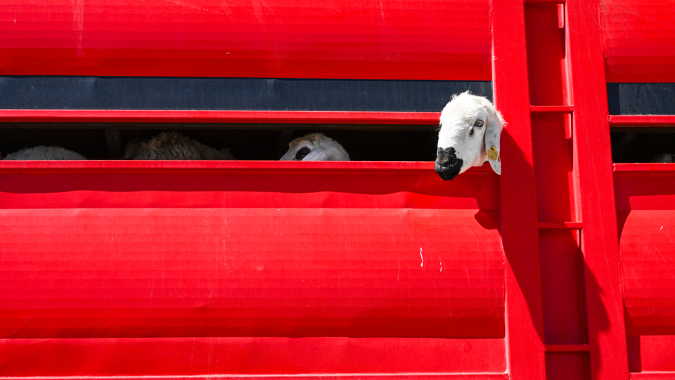 Kurban Bayramı tatili uzatılmadı