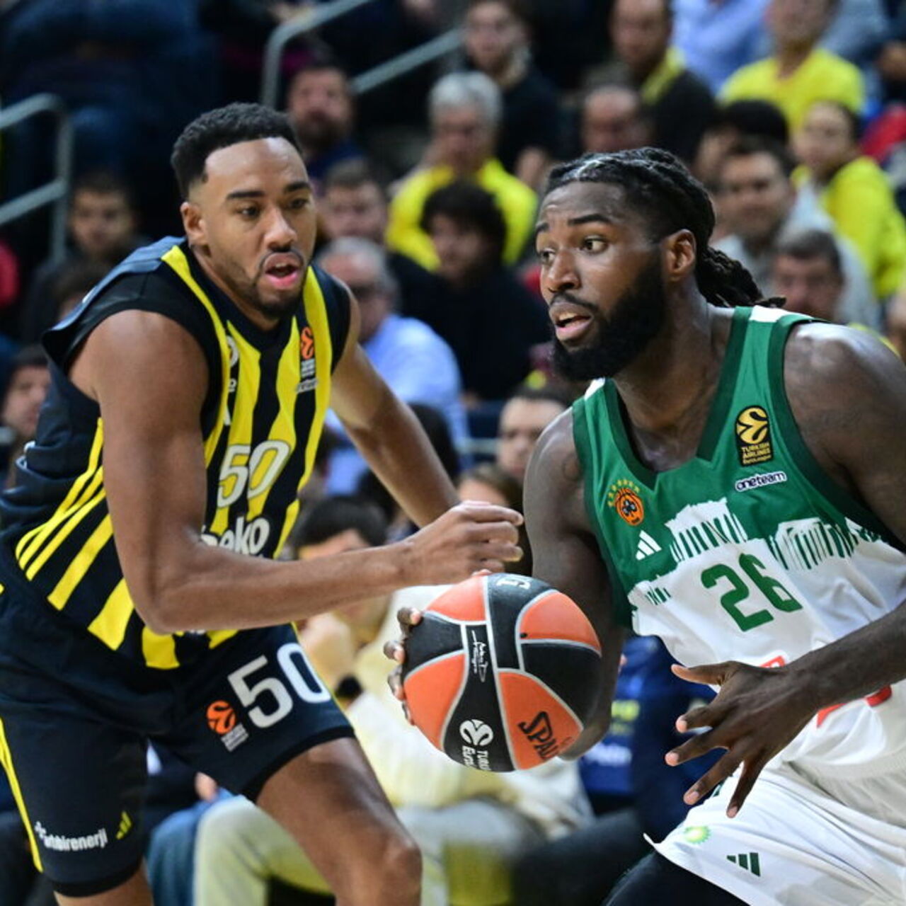 Fenerbahçe- Panathinaikos canlı izle