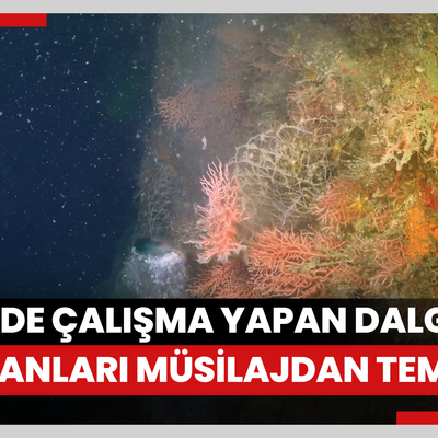 Marmara Denizinde çalışma yapan dalgıçlar, mercanları müsilajdan temizledi