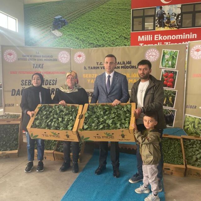 Ağrı'da 147 bin sebze fidesi dağıtıldı