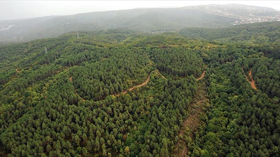 Ormanlık alanlara girişler yasaklandı