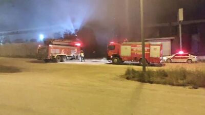 Orman ürünleri fabrikasında yangın