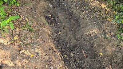 43 gündür haber alınamıyordu!