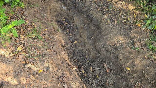 43 gündür haber alınamıyordu!