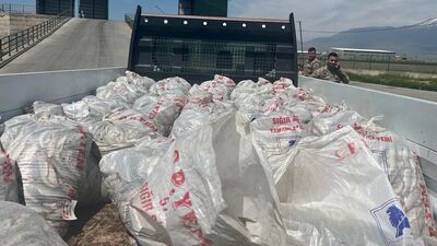 Ağrı'da 2 ton inci kefali ele geçirildi