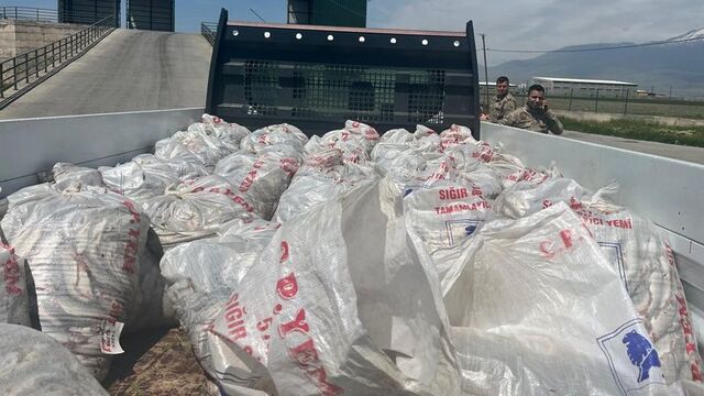 Ağrı'da 2 ton inci kefali ele geçirildi