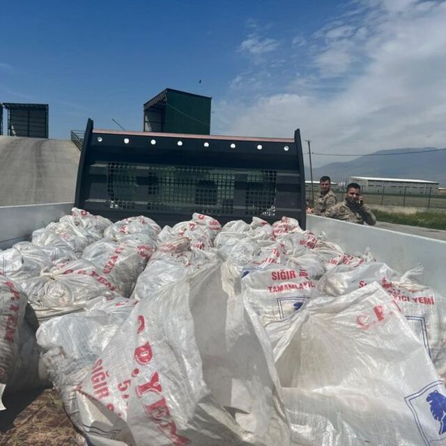 Ağrı'da 2 ton inci kefali ele geçirildi