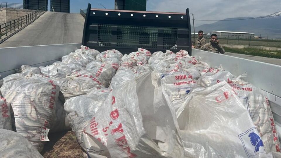 Ağrı'da 2 ton inci kefali ele geçirildi