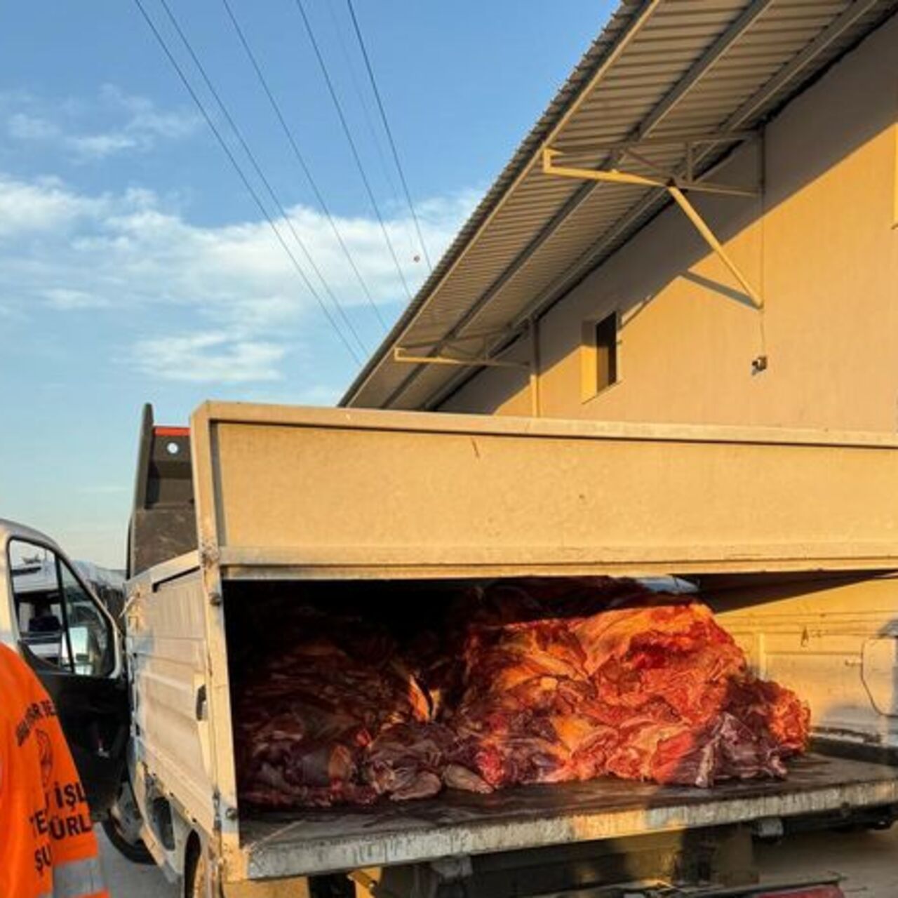 3 ton tek tırnaklı hayvan eti ele geçirildi