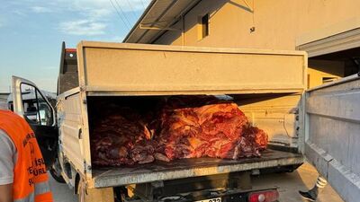 3 ton tek tırnaklı hayvan eti ele geçirildi