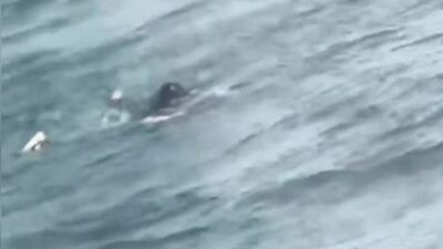 Denize düşen çocuk kurtarıldı