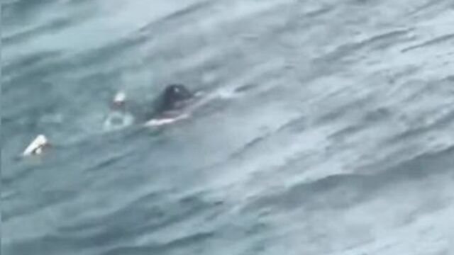 Denize düşen çocuk kurtarıldı