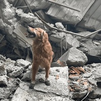 Kahraman Killian, hayatını kaybetti