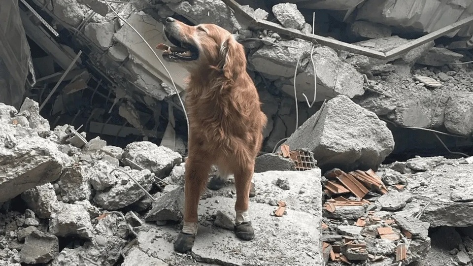 Kahraman Killian, hayatını kaybetti