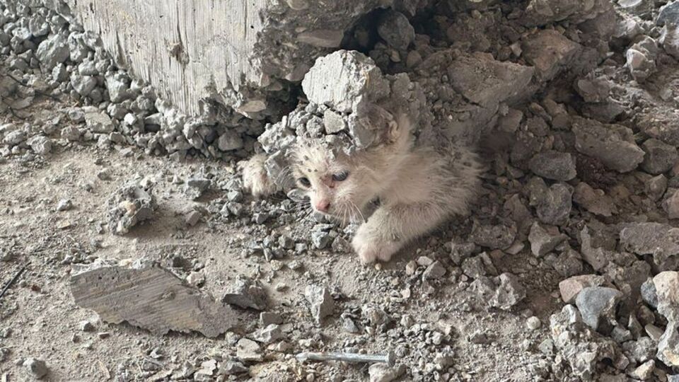 Yaşamla ölüm arasında