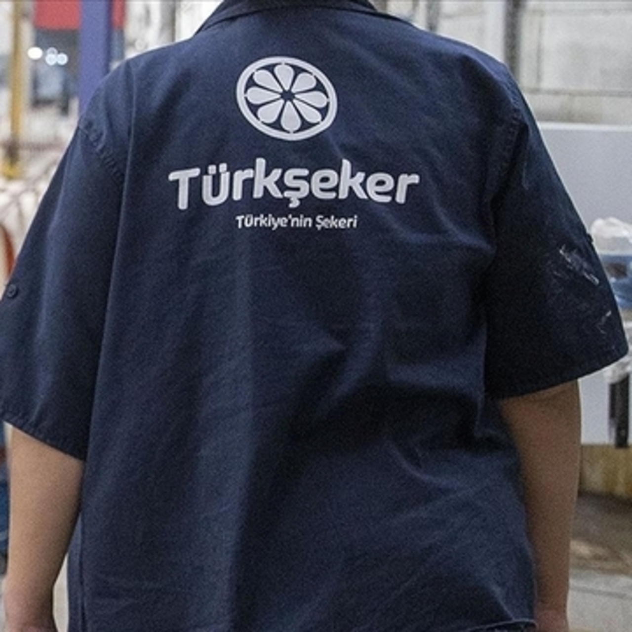 Türkşeker 111 işçi alımı yapıyor