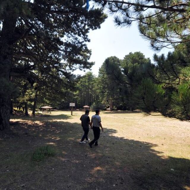 Ankara'da ormanlara giriş yasağı