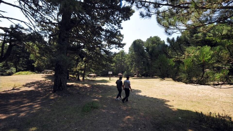 Ankara'da ormanlara giriş yasağı