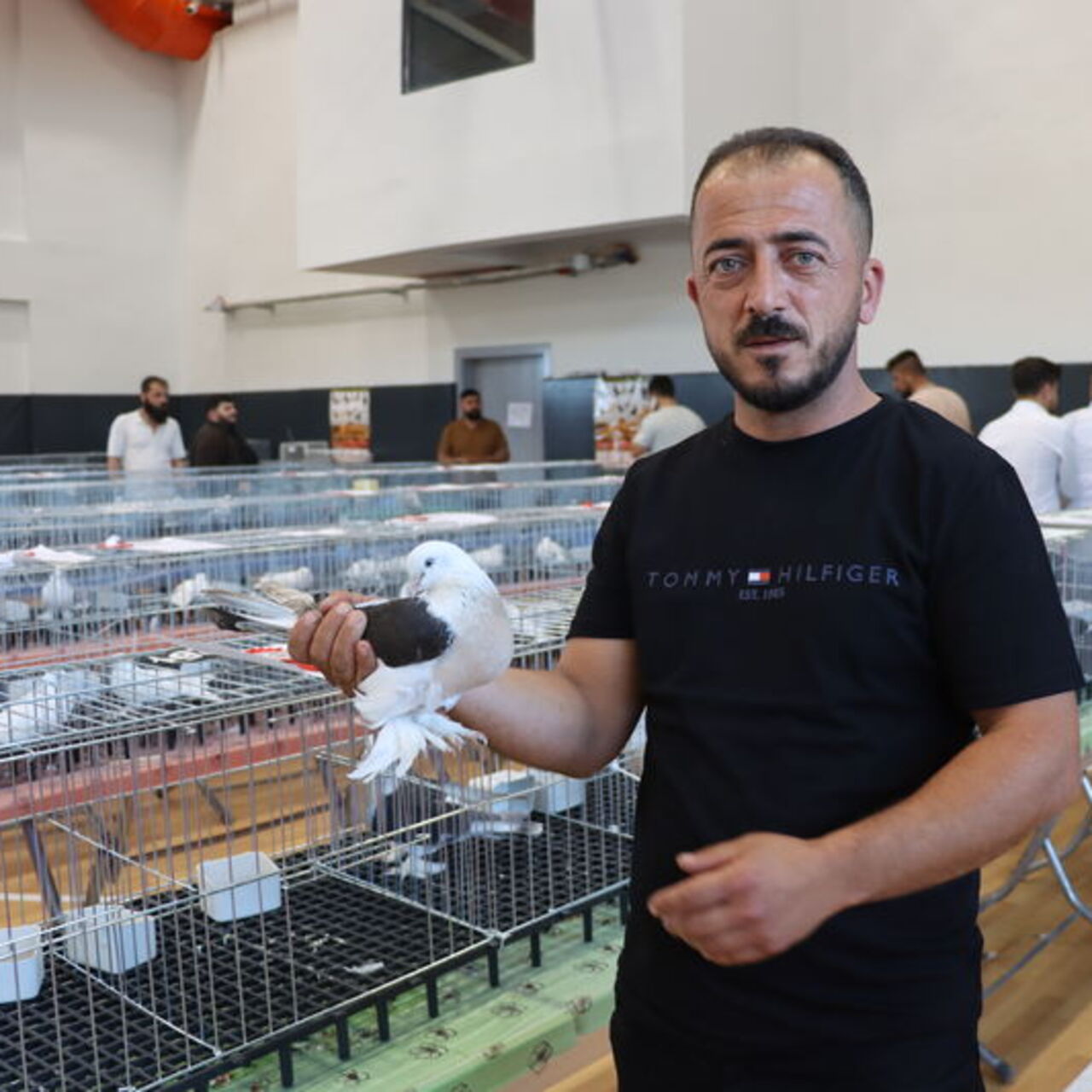 "Midyat-Musul Güvercin Festivali"