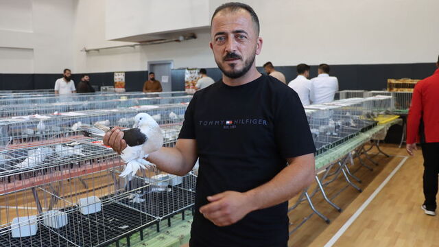 "Midyat-Musul Güvercin Festivali"