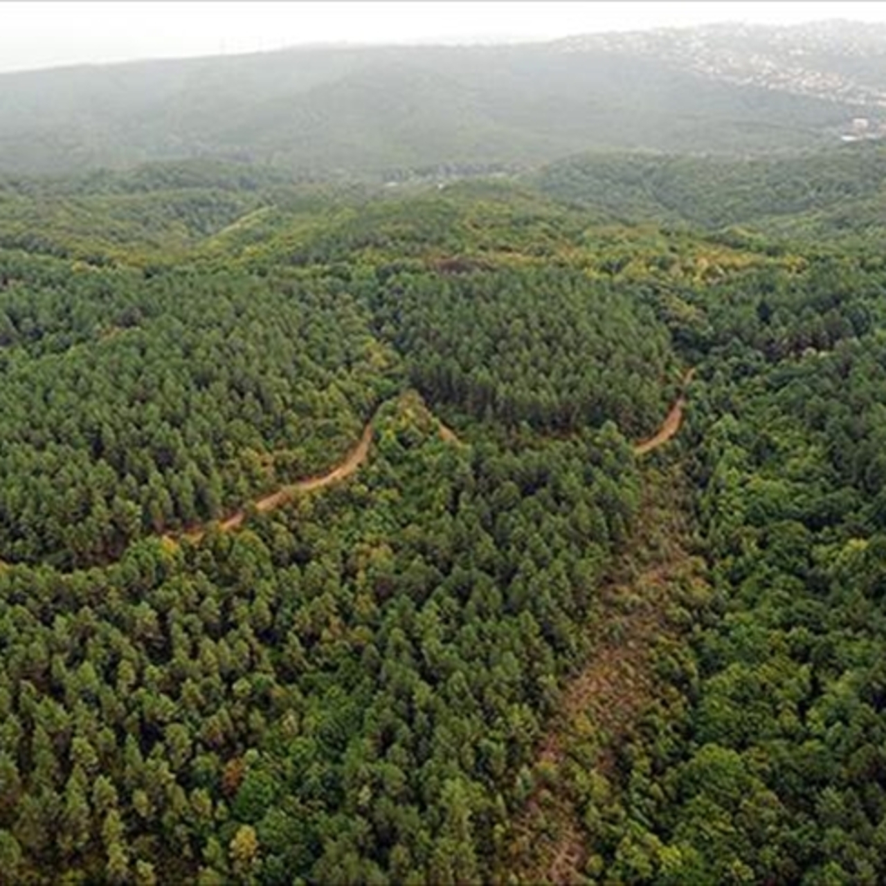Isparta'da ormanlara girişler yasaklandı