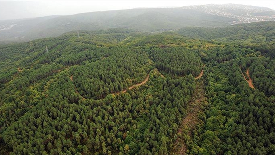 Isparta'da ormanlara girişler yasaklandı