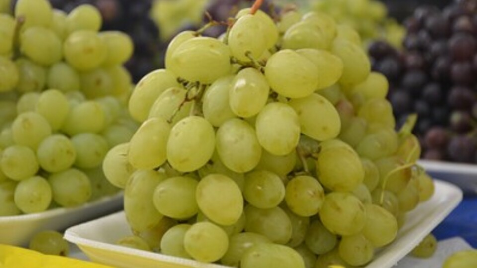 Üzüm Kilo Aldırır mı?