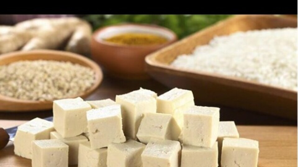 Tofu Neyden Yapılır?