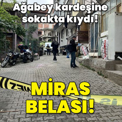 Miras belası! Ağabey kardeşe kıydı!
