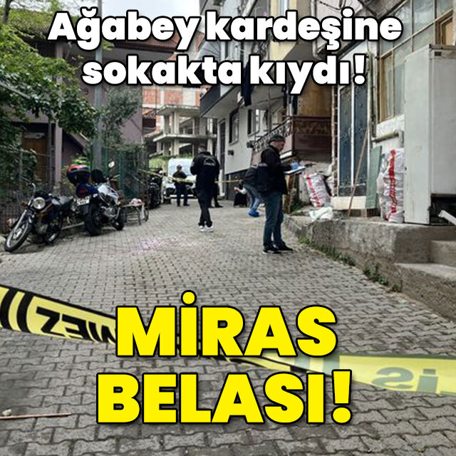 Miras belası! Ağabey kardeşe kıydı!