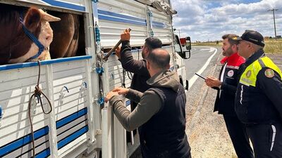 Tekirdağ'a kaçak sevkiyata 105 bin lira ceza