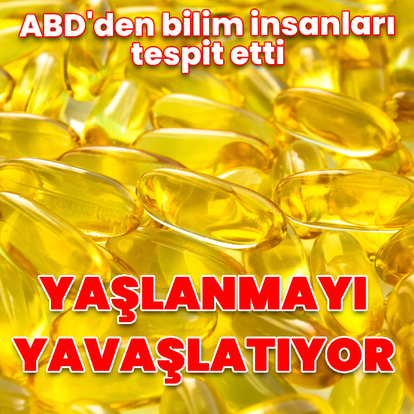 D vitamini takviyesi hücresel yaşlanmayı yavaşlatabilir