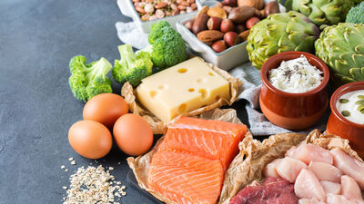 Holozoik Beslenme Nedir?