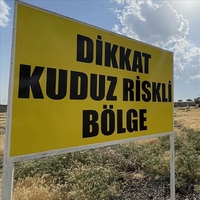 Hatay’da kuduz alarmı!