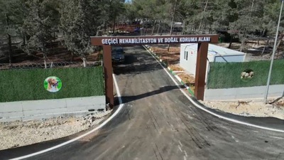 Sokak hayvanı sorununa "Kilis Modeli": Özel yaşam alanı kuruldu