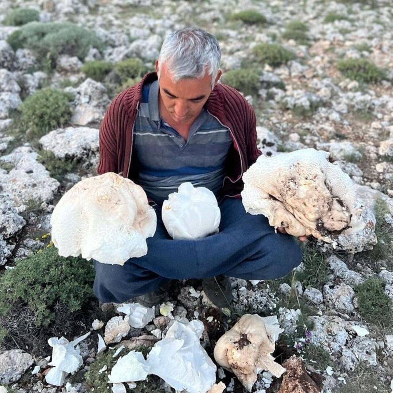 Dağlık alanda buldu... Toplamı 20 kg!